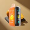 ELF BAR RAYA D3 25000 Puffs Disposable Vape Dubbele Mango 23ml 5%