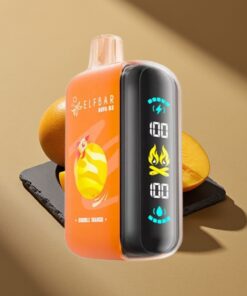 ELF BAR RAYA D3 25000 Puffs Disposable Vape Dubbele Mango 23ml 5%