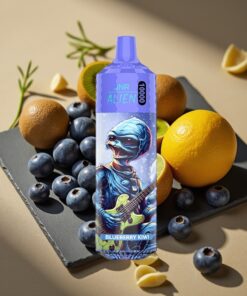 JNR Alien 10000 Puffs Wegwerp Vape Blauwe Bes Kiwi 20ml Type-C