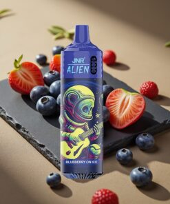 JNR Alien 10000 Puffs Wegwerp Vape Bosbes Op IJs met 850mAh & RGB LED