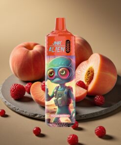 JNR Alien 10000 Puffs Wegwerp Vape Perzik Bes (850mAh)