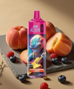 JNR Alien 10000 Puffs Wegwerp Vape Perzik Blauwe Bes Snoep 850mAh Type-C