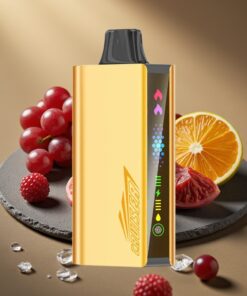 JNR Cruiser 12000 Puffs No-Charge Wegwerp Vape Druiven IJs met 3500 mAh Batterij