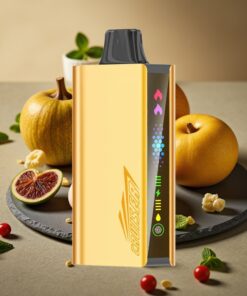 JNR Cruiser 12000 Puffs No-Charge Wegwerp Vape Koel Munt – 3500 mAh, 25ml