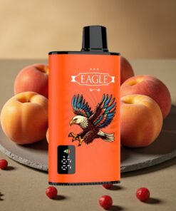 JNR EAGLE Smart 23000 Puffs Wegwerp Vape Juicy Perziken met Digitaal Scherm & 750mAh
