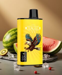 JNR EAGLE Smart 23000 Puffs Wegwerp Vape Kiwi Watermeloen IJs met Digitaal Scherm & 750mAh Batterij