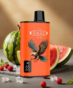 JNR EAGLE Smart 23000 Puffs Wegwerp Vape Watermeloen IJs met Digitaal Scherm & 750mAh