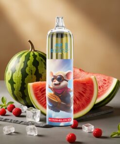 JNR Rocket-X 12400 Puffs Wegwerp Vape Watermeloen IJs met RGB verlichting & Type-C opladen