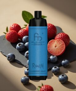 RandM Fumot Shisha 10000 Puffs Wegwerp Vape Blauwe Bes Druif met LED Indicator met Type-C Port
