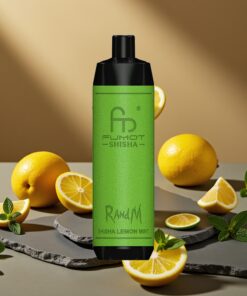 RandM Fumot Shisha 10000 Puffs Wegwerp Vape Citroen Munt met LED Indicator en Type-C Port