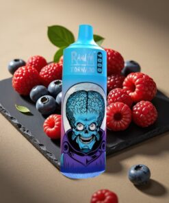 RandM Fumot Tornado 9000 Puffs Wegwerp Vape Blauwe Bes Kers Cranberry 850 mAh 18 mL Mesh Coil RGB Display