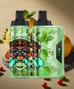 VapSolo VIKING 12000 Puffs Wegwerp Vape Frisse Munt 22ml